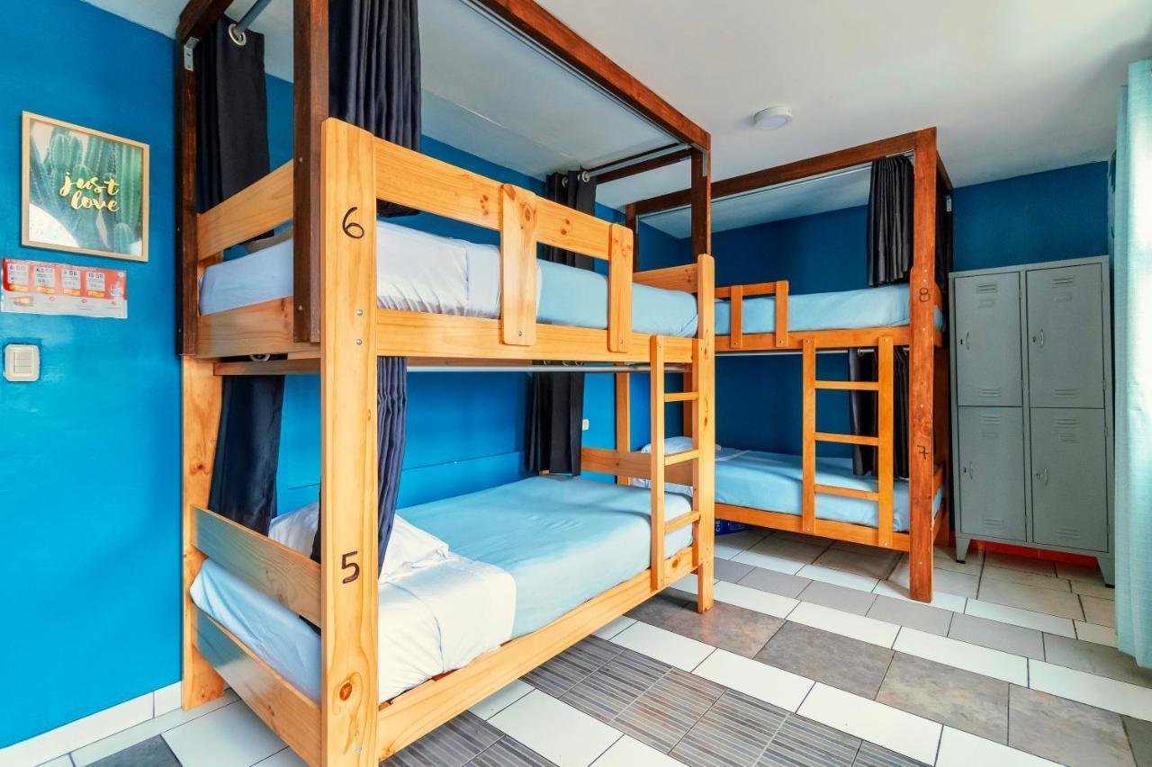 The Secret Garden Hostel ليما المظهر الخارجي الصورة